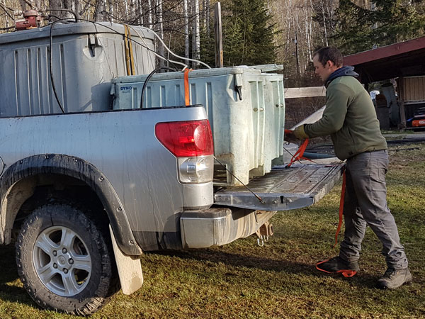 Noah loading truck with live trout